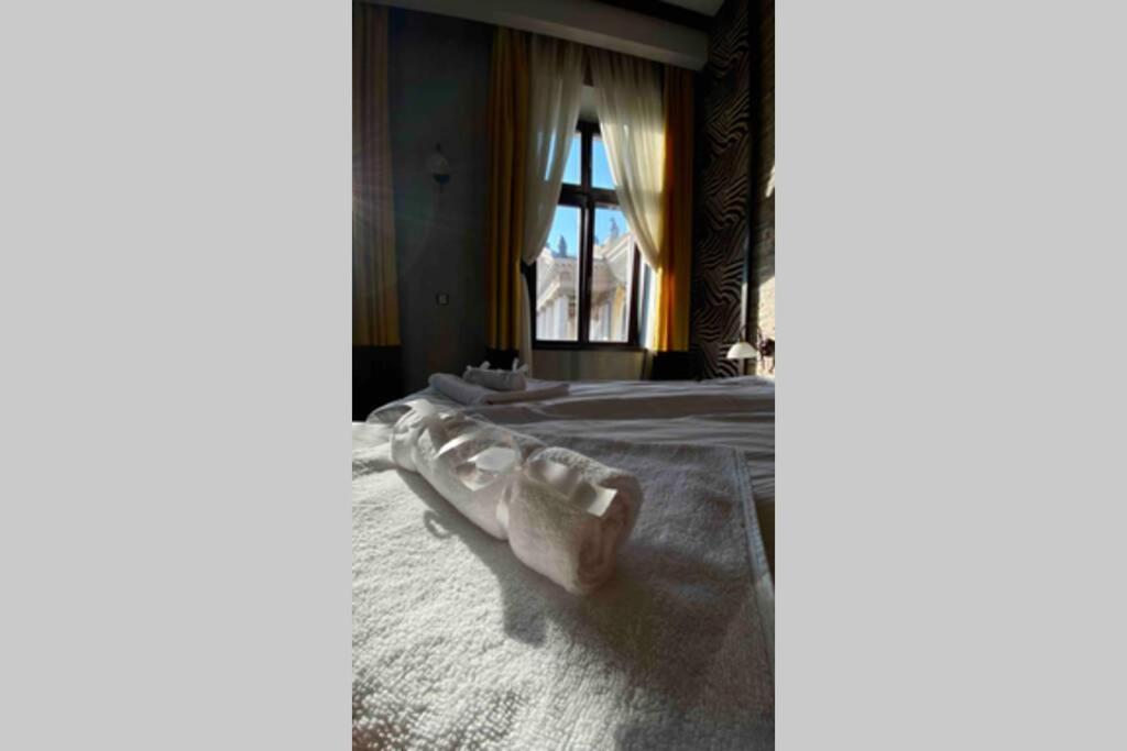 Safari Royal Apartment Oradea Exteriör bild
